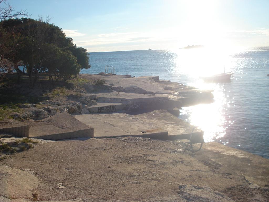 Apartments Dalmacija โรกอซนิซา ภายนอก รูปภาพ